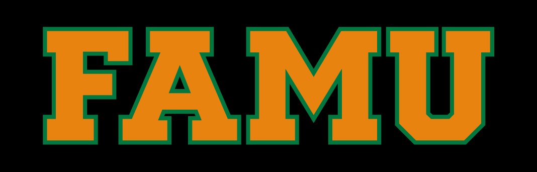 Florida A&M Rattlers 2013-pres wordmark logo v5 diy iron on heat transfer